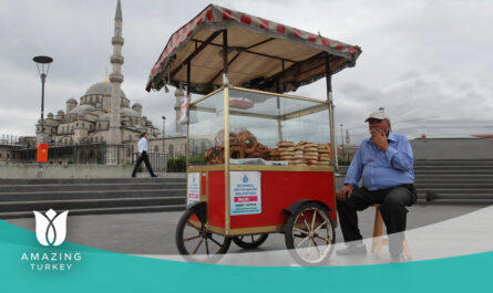 Best Istanbul street food